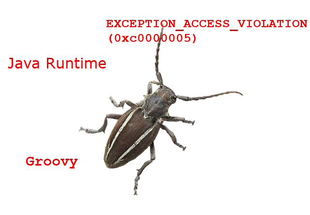 [#WTF: Groovy crashes with a Java Runtime EXCEPTION_ACCESS_VIOLATION (0xc0000005)]